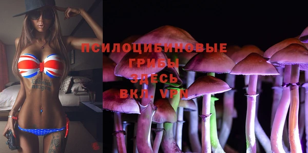 гашик Абдулино
